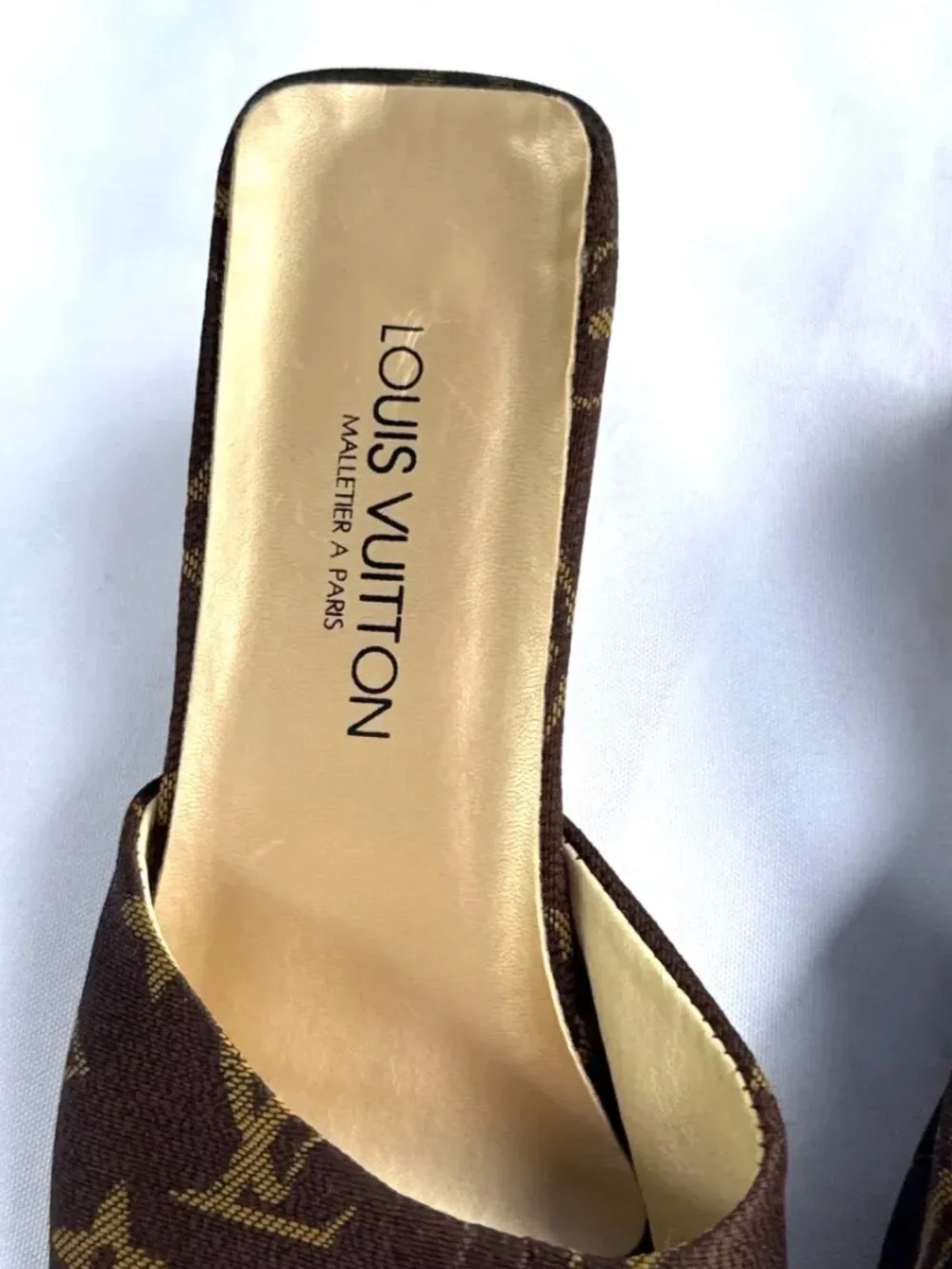 Louis Vuitton heeled sandals